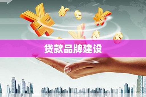 巴马贷款品牌建设