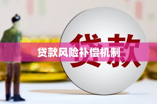 巴马贷款风险补偿机制