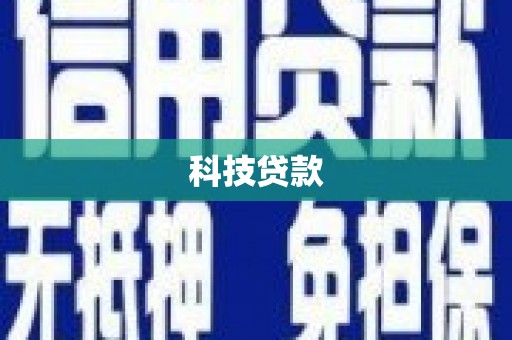 巴马科技贷款