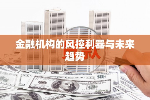 巴马金融机构的风控利器与未来趋势