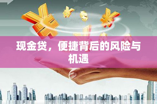 巴马现金贷，便捷背后的风险与机遇