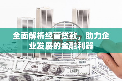 巴马全面解析经营贷款，助力企业发展的金融利器