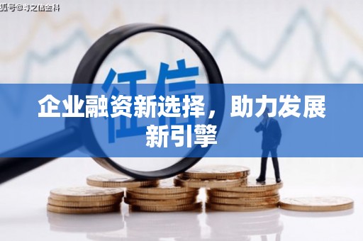 巴马企业融资新选择，助力发展新引擎