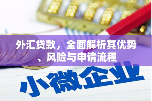 巴马外汇贷款，全面解析其优势、风险与申请流程