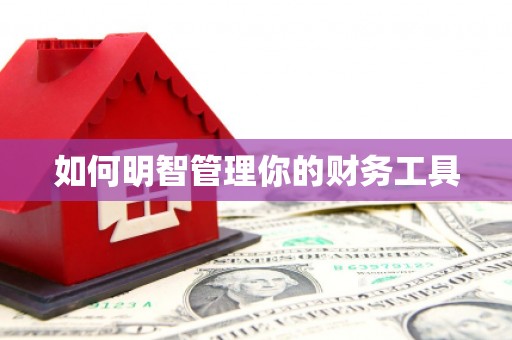 巴马如何明智管理你的财务工具