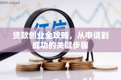 巴马贷款创业全攻略，从申请到成功的关键步骤