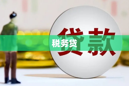 巴马税务贷