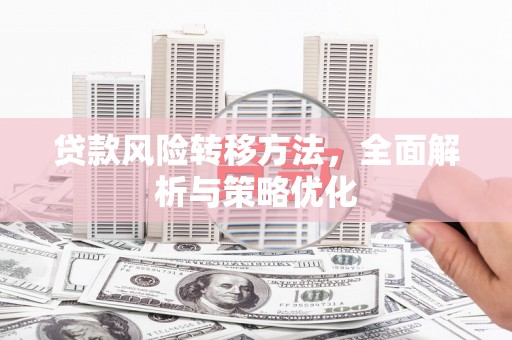 巴马贷款风险转移方法，全面解析与策略优化
