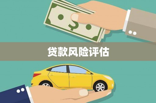 巴马贷款风险评估