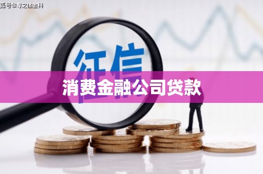 巴马消费金融公司贷款