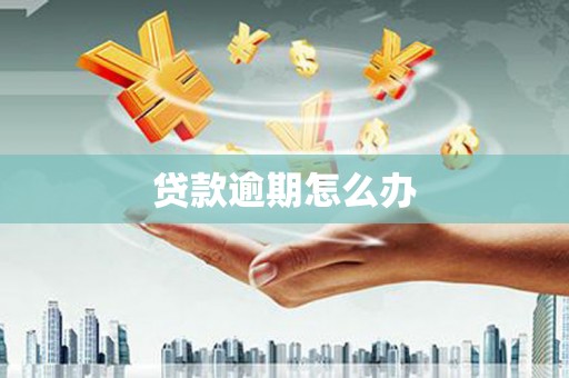 巴马贷款逾期怎么办