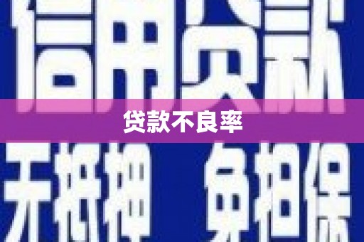 巴马贷款不良率