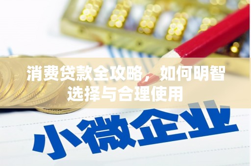 巴马消费贷款全攻略，如何明智选择与合理使用