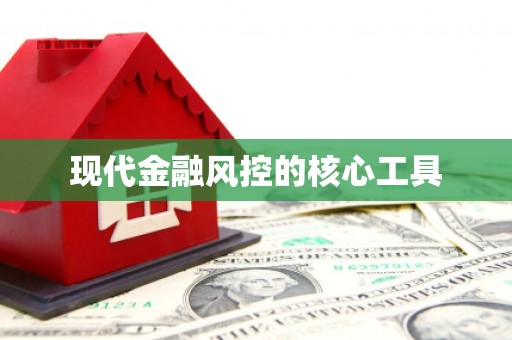 巴马现代金融风控的核心工具