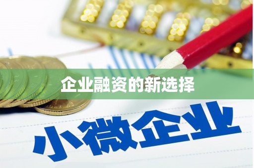 巴马企业融资的新选择