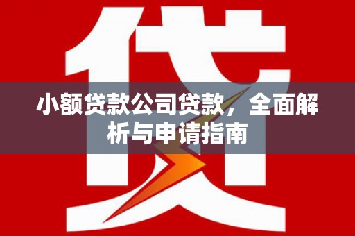 巴马小额贷款公司贷款，全面解析与申请指南