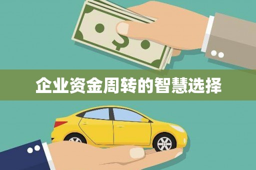 巴马企业资金周转的智慧选择