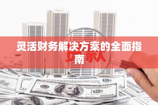 巴马灵活财务解决方案的全面指南
