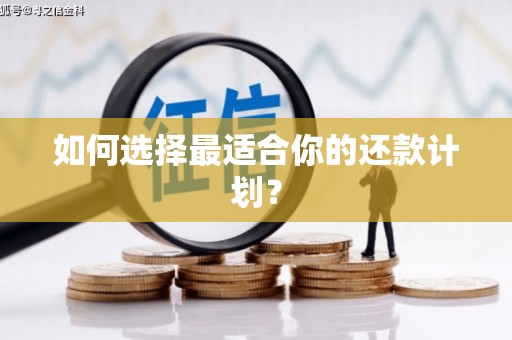巴马如何选择最适合你的还款计划？