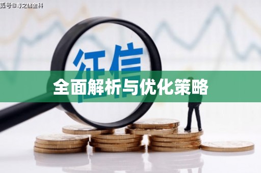 巴马全面解析与优化策略