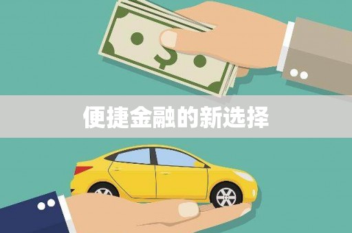 巴马便捷金融的新选择