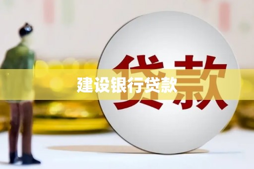 巴马建设银行贷款