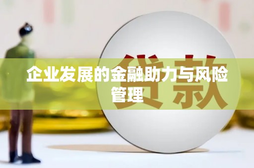 巴马企业发展的金融助力与风险管理