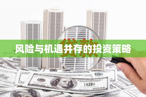 巴马风险与机遇并存的投资策略