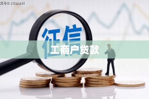 巴马工商户贷款