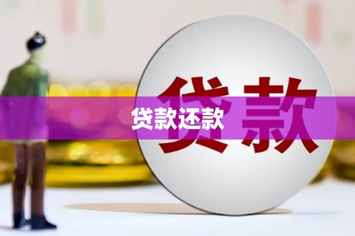 巴马贷款还款