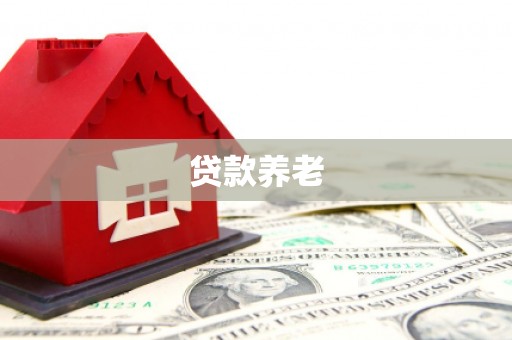 巴马贷款养老