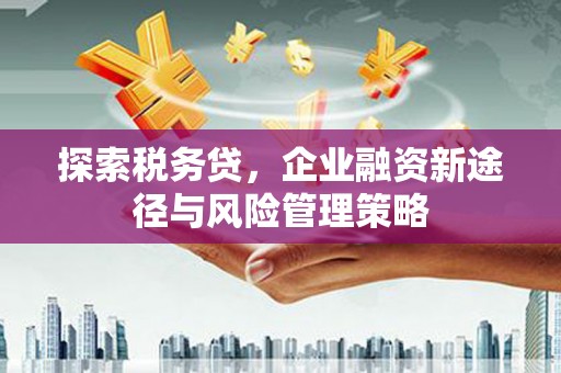 巴马探索税务贷，企业融资新途径与风险管理策略