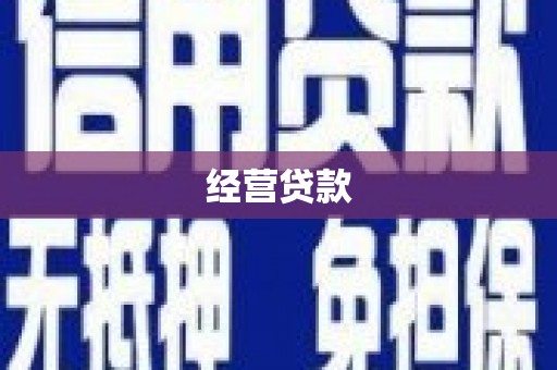 巴马经营贷款