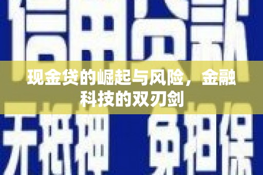 巴马现金贷的崛起与风险，金融科技的双刃剑