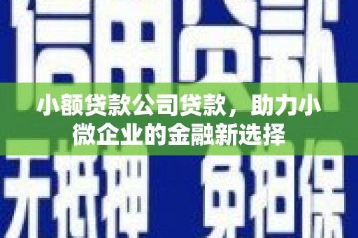 巴马小额贷款公司贷款，助力小微企业的金融新选择