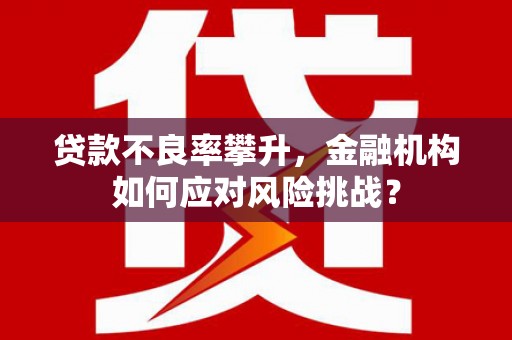 巴马贷款不良率攀升，金融机构如何应对风险挑战？