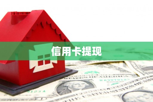 巴马信用卡提现