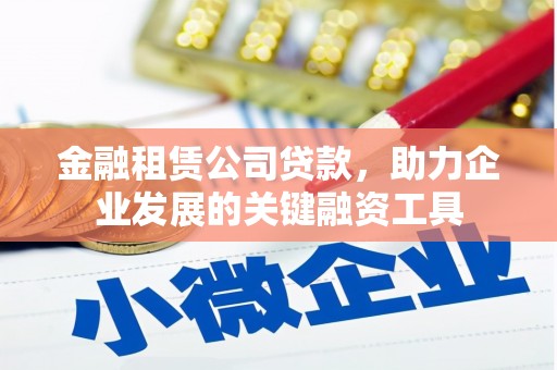 巴马金融租赁公司贷款，助力企业发展的关键融资工具