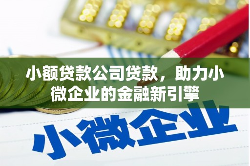 巴马小额贷款公司贷款，助力小微企业的金融新引擎