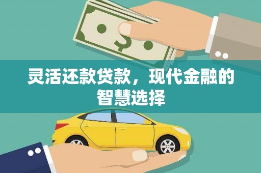 巴马灵活还款贷款，现代金融的智慧选择