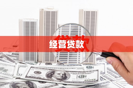 巴马经营贷款