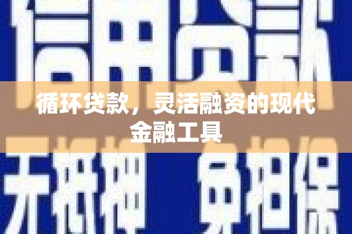 巴马循环贷款，灵活融资的现代金融工具
