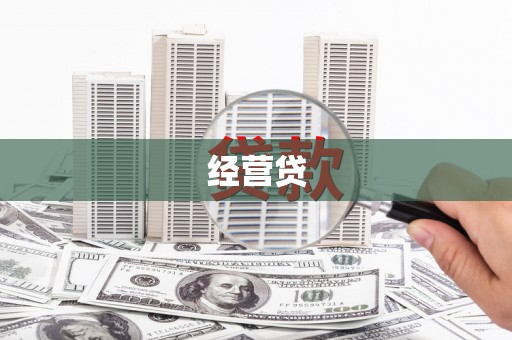 巴马经营贷