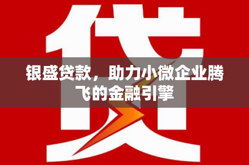巴马银盛贷款，助力小微企业腾飞的金融引擎