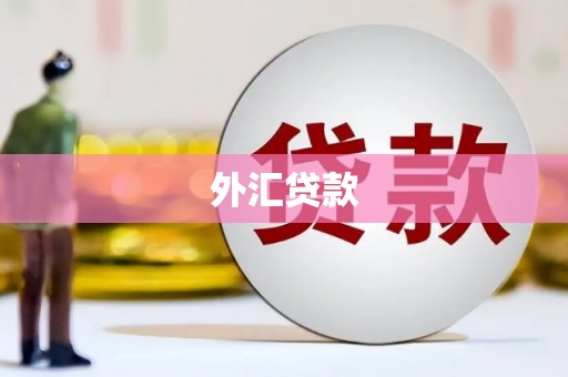巴马外汇贷款