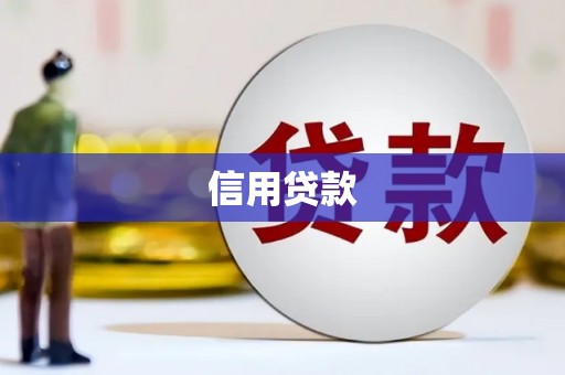 巴马信用贷款