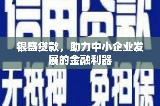 巴马银盛贷款，助力中小企业发展的金融利器