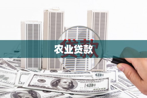 巴马农业贷款