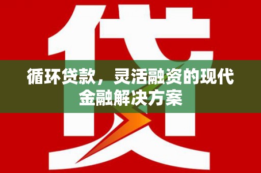 巴马循环贷款，灵活融资的现代金融解决方案