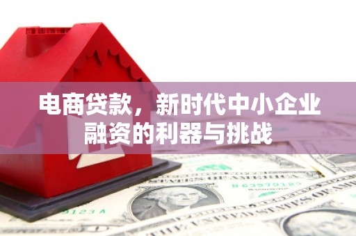 巴马电商贷款，新时代中小企业融资的利器与挑战